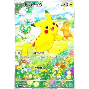 【新品】ポケットモンスター グッズ まとめ売り 18点 ポケモンカードゲーム ピカチュウ P 218/SV-P : メモリー