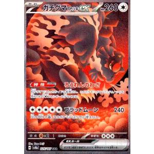 アラブルタケ(077・066 AR)/悪/ポケモンカード : トレカショップ アラブルタケ(077・066 AR)/悪/ポケモンカード : トレカショップ