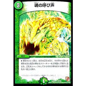 昇カオスマントラ(SR)(S1/S11) デュエルマスターズ : トレカショップ竜