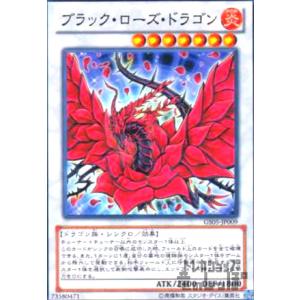 カオスソルジャー(高価N)(DT)(Replica)/EXカ01-6 遊戯王 : トレカ