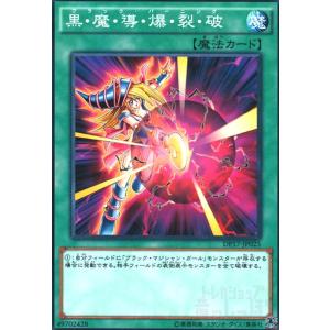 デジモン デジモンカードゲーム 【パラレル】BT10-041