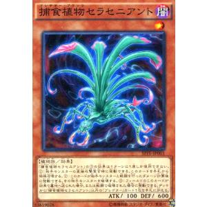 クリッター(ノーマルパラレル)(RB03)/闇 遊戯王 : トレカショップ竜の