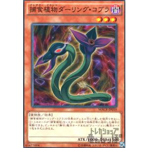 捕食植物ダーリングコブラ(高価N)/闇ハ07-3/遊戯王