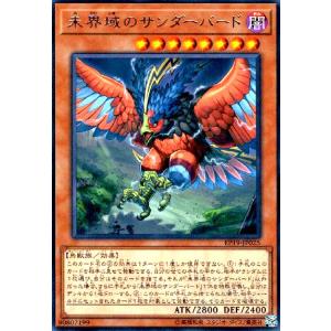 遊戯王オフィシャルカードゲーム デュエルモンスターズ 究極完全