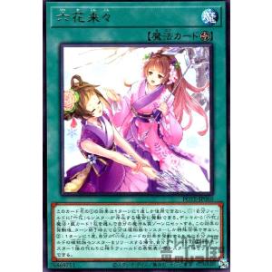 カードファイト!! ヴァンガード 焔の巫女 シンディ D-PR/684 PR