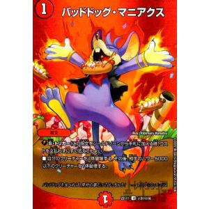 デュエル・マスターズ 本能寺カレン＆カオスマントラ -裏切のヒロイン