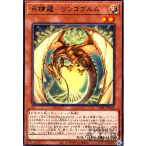 導きの聖女クエム(スーパー)/光 遊戯王 : トレカショップ竜のしっぽ