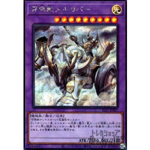 遊戯王オフィシャルカードゲーム デュエルモンスターズ 遊戯王カード