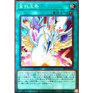 烙印の気炎(高価N) 遊戯王 : トレカショップ竜のしっぽ Yahoo!店