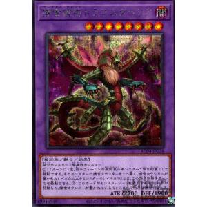 神芸学徒 リテラ(プリズマティックシク) 遊戯王 : トレカ