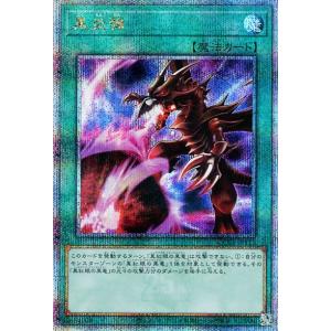 遊戯王オフィシャルカードゲーム デュエルモンスターズ 黒魔導の