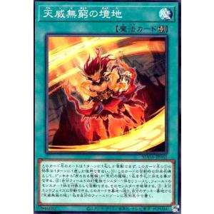 原石竜アナザー・ベリル 遊戯王 : トレカショップ竜のしっぽ Yahoo!店