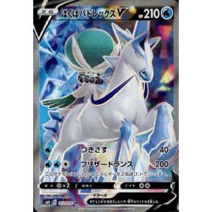 テラパゴスex(226/187 SAR) ポケモンカード : トレカショップ竜の