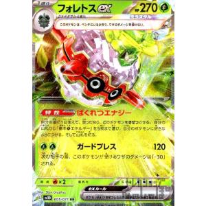 ナカヌチャン(077・071 AR)/超 ポケモンカード : トレカショップ竜の