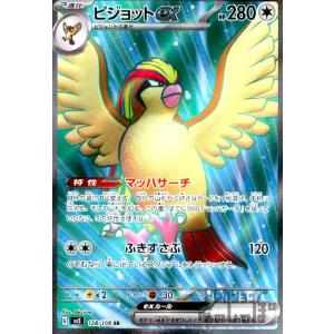 コオリッポex(020・108 RR)/炎 ポケモンカード : トレカショップ竜の