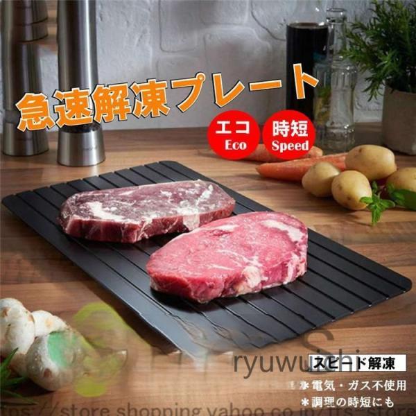 急速解凍 プレート 解凍 放熱 刺身 肉 冷凍食品 エコ 時短