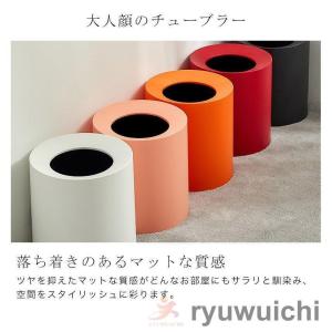 ごみ箱 ゴミ箱 ダストボックス インテリア お...の詳細画像1