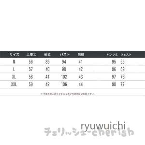 セットアップ レディース 春秋 40代 20代...の詳細画像3