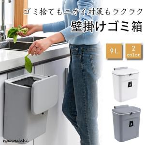 ゴミ箱 壁掛けゴミ箱 9リットル おしゃれ 壁掛け式 分別 北欧 蓋フタ付き 安い 生ごみ シンプル ダストボックス アットライズ