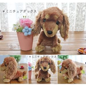 プリザーブドフラワー プレゼント 花 ギフト ...の詳細画像1