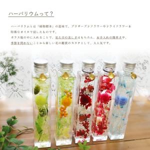 ハーバリウム 花 プレゼント 送別 定年 退職...の詳細画像2