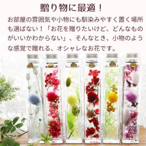 ハーバリウム 敬老の日 遅れてごめんね プレゼ...の詳細画像4