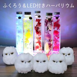 ハーバリウム 母の日 プレゼント 花 ギフト 2026 誕生日 送別 退職 バラ おしゃれ 開店祝い お礼 お返し 母親 父親 女性 男性 ランキング ふくろう フクロウ LED