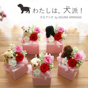 プリザーブドフラワー 母の日 犬 わんこ 花 2024 プレゼント ギフト 退職祝い 女性 誕生日プレゼント ぬいぐるみ 子供 女性 犬 祖母 祖父 男性 花 子犬｜プリザフラワーのサウンドアレンジ