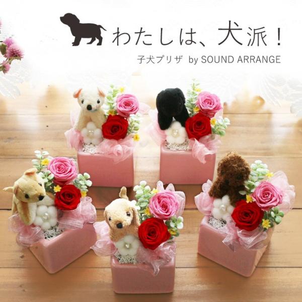 プリザーブドフラワー お祝い 誕生日 退職祝い バラ 花 かわいい プレゼント ギフト 送別 犬 ペ...