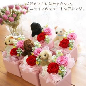 プリザーブドフラワー 退職祝い 送別 誕生日 ...の詳細画像1