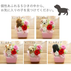 プリザーブドフラワー 退職祝い 送別 誕生日 ...の詳細画像5