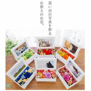写真印刷無料 写真立て 最短お届け発送中 プリ...の詳細画像1