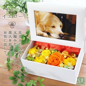 写真印刷無料 写真立て 最短お届け発送中 プリ...の詳細画像2
