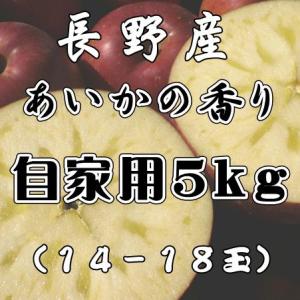 あいかの香り 送料無料 自家用 信州産　あいかの香り５kg１4玉〜18玉　訳あり長野 りんご