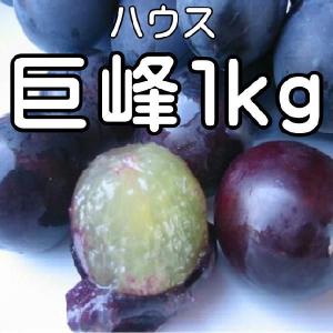 巨峰　信州産　ハウス 巨峰１ｋｇ化粧箱入り高級ブドウの巨峰　送料無料｜s-asahiya