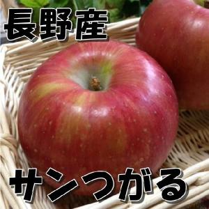 訳あり 信州産　サンつがる 5kg自家用（送料無料）長野 りんご