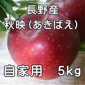 自家用　信州特産品種　訳あり　秋映（あきばえ）5kg（14玉〜20玉）長野 りんご