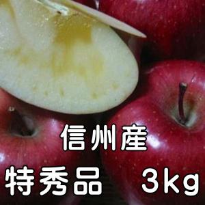 サンふじりんご　3kg6玉〜12玉　特秀品　お歳暮 人気　送料無料　信州産　長野サンふじ　りんご