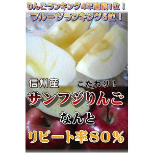 今が旬 長野 サンふじりんご ギフトにも人気 ...の詳細画像1