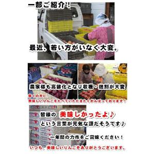 今が旬 長野 サンふじりんご ギフトにも人気 ...の詳細画像2
