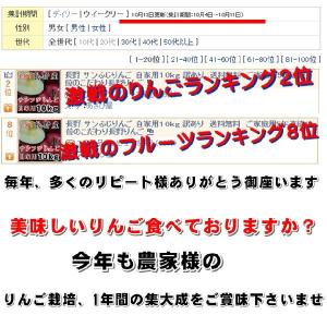 今が旬 長野 サンふじりんご ギフトにも人気 ...の詳細画像3