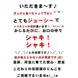 今が旬 長野 サンふじりんご ギフトにも人気 ...の詳細画像4