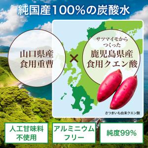 重曹 クエン酸 食用 国産 無添加 60包 [...の詳細画像1