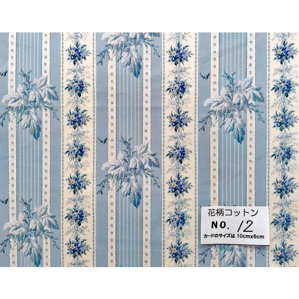 55cmX45cm 生地 こうの早苗 rose hip カラーパレット 有輪 特価  花柄コットン・...