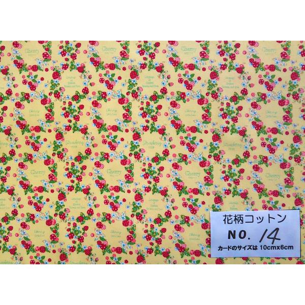 55cmX45cm 生地 松山敦子 YUWA フルーツサークル縮小版 入学入園 布  花柄コットン・...