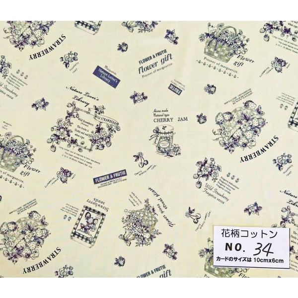 55cmX45cm 生地 松山敦子 YUWA フルーツギフト Fruit Gifts 布  花柄コッ...