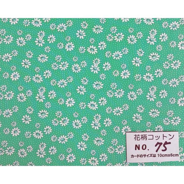 55cmX45cm 生地 Happy Message 30's マーガレット＆極小ドット 入学入園 ...