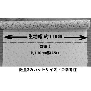 55cmX45cm 生地 ロラライハリス To...の詳細画像4