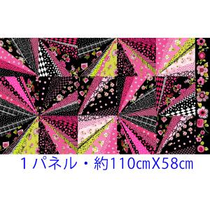 生地 ロラライハリス SEW FABULOUS ローラライデザインズ USAコットン