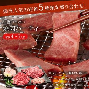 【昨年実店舗販売実績No.1!焼肉セット】 国...の詳細画像5